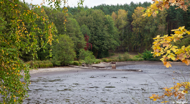 Walkmuehlenteich