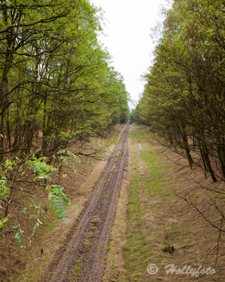 Bahnline FFO-Cottbus