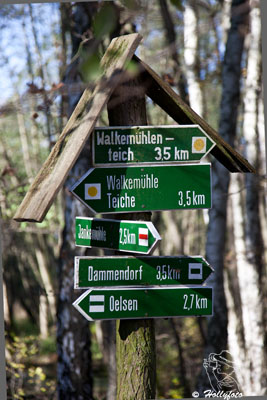 Oelse an der Walkemuehle