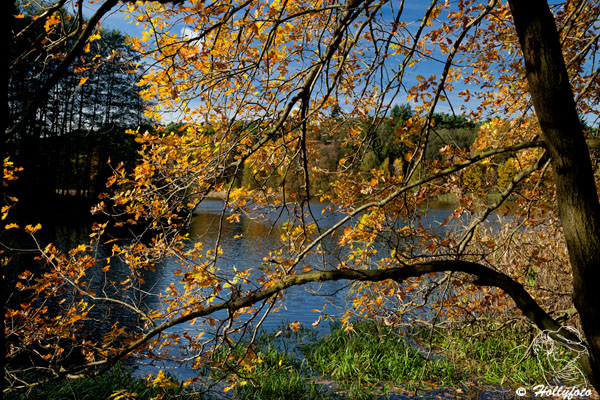 Klingeteich