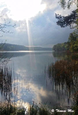 Oelsener See